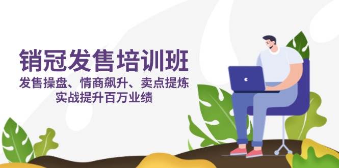 销冠发售培训班:发售 操盘+情商 飙升+卖点 提炼,实战提升百万业绩-钞能力网全创