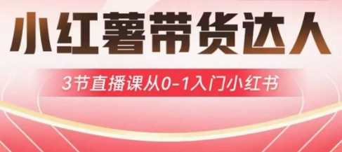 小红薯达人带货启航计划,3节直播课从0-1入门小红书-钞能力网全创