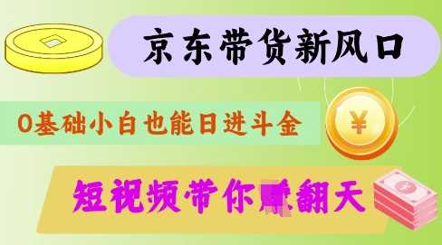 最新京东短视频带货代运营秘籍,轻松躺挣【揭秘】-钞能力网全创