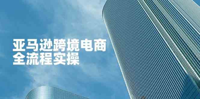 亚马逊跨境电商全流程实操,教你从零开始,掌握店铺运营与广告技巧-钞能力网全创