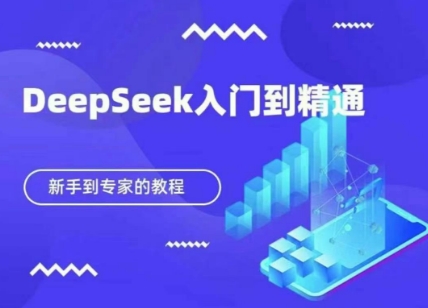 DeepSeek快速从入门到精通,新手的保姆级教程-钞能力网全创