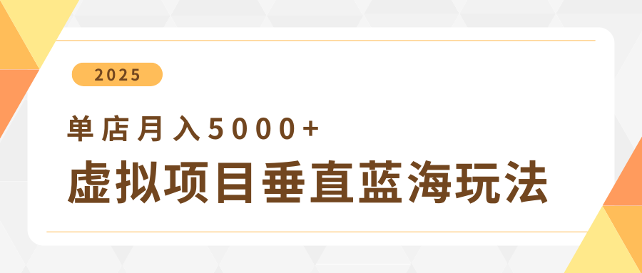 虚拟项目垂直玩法,冷门爆品+垂直蓝海,单店月入5000+-钞能力网全创