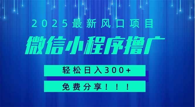(14375期)微信小程序撸广,最新风口项目,日入300+ 免费分享 可批量操作 小白可…-钞能力网全创