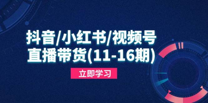 (14611期)抖音/小红书/视频号/直播带货(11-16期),快速掌握平台规则,打造爆款内容