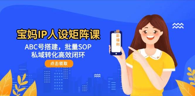 宝妈IP人设矩阵课:ABC号搭建,批量SOP,私域转化高效闭环-钞能力网全创
