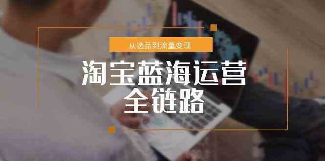 淘宝蓝海运营全链路,从选品到流量变现,小类目突围完整方案-钞能力网全创