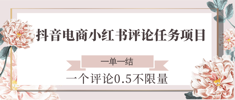 抖音电商小红书评论任务项目,一个评论0.5,一单一结 不限量-钞能力网全创
