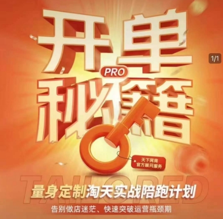 淘宝开单秘籍PRO,量身定制淘天实战陪跑计划,告别做店迷茫、快速突破运营瓶颈期(更新6月)-钞能力网全创