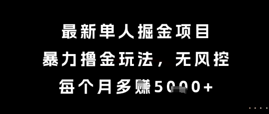 最新单人掘金项目,暴力撸金玩法,无风控,每个月多挣5k+【揭秘】-钞能力网全创