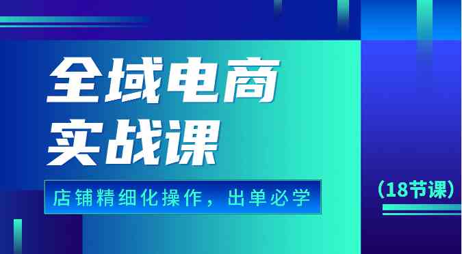 全域电商实战课，个人店铺精细化操作流程，出单必学内容（18节课）-钞能力网全创
