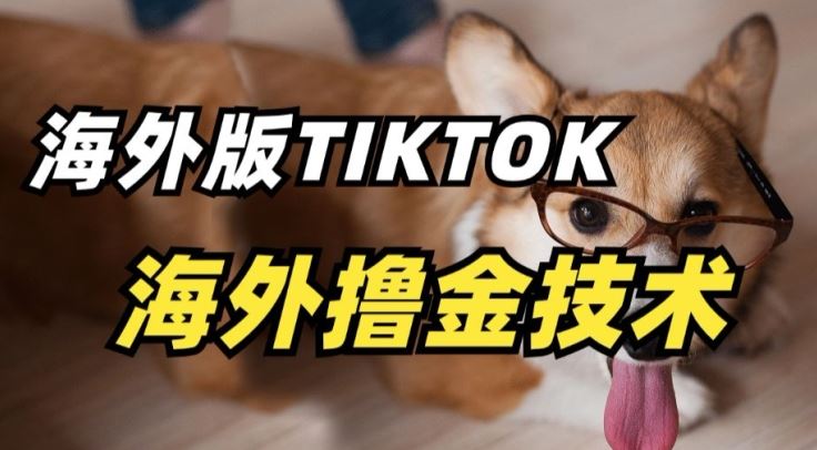 抖音海外版tiktok撸金技术，这个风口行业，赚钱真的不难【揭秘】-钞能力网全创