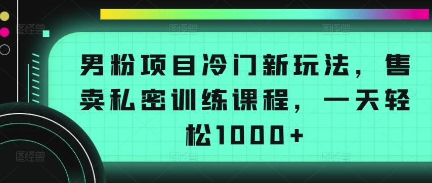 男粉项目冷门新玩法，售卖私密训练课程，一天轻松1000+【揭秘】-钞能力网全创