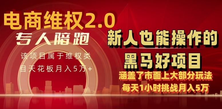 电商维权 4.0 如何做到月入 5 万+每天 1 小时新人也能快速上手【仅揭秘】-钞能力网全创