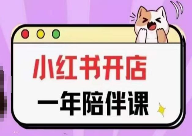 三九小红书开店一年陪伴课(更新)，从0到1玩赚小红书开店-钞能力网全创