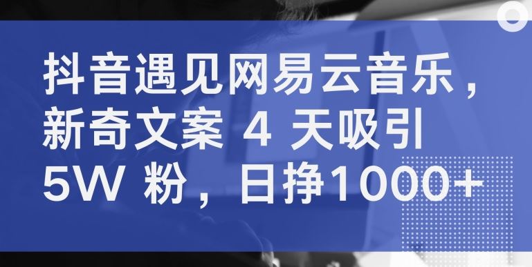 抖音遇见网易云音乐，新奇文案 4 天吸引 5W 粉，日挣1000+【揭秘】-钞能力网全创