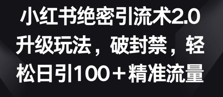 小红书绝密引流术2.0升级玩法，破封禁，轻松日引100+精准流量【揭秘】-钞能力网全创