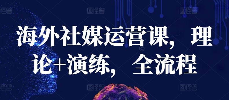 海外社媒运营课，理论+演练，全流程-钞能力网全创