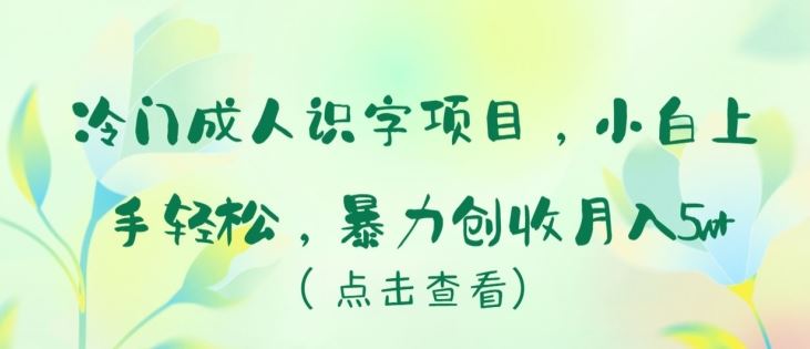 冷门成人识字项目，小白上手轻松，暴力创收月入5w+【揭秘】-钞能力网全创