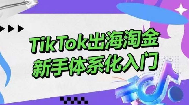 TikTok出海淘金，新手体系化入门，零基础快速入门，掌握短视频、直播带货等引流到变现的知识-钞能力网全创