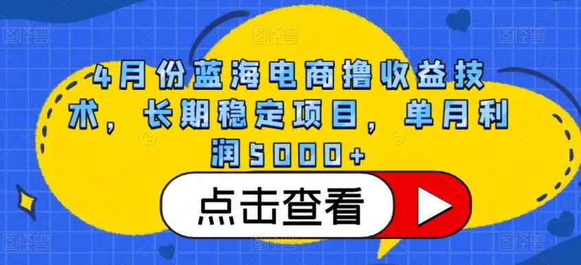 蓝海电商撸收益技术，长期稳定项目，单月利润5000+【揭秘】-钞能力网全创