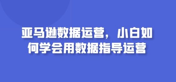 亚马逊数据运营，小白如何学会用数据指导运营-钞能力网全创