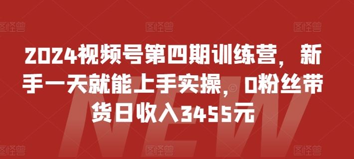 视频号训练营，新手一天就能上手实操，0粉丝带货日收入3455元-钞能力网全创