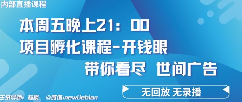 内部回放课程《项目孵化-开钱眼》赚钱的底层逻辑【揭秘】-钞能力网全创