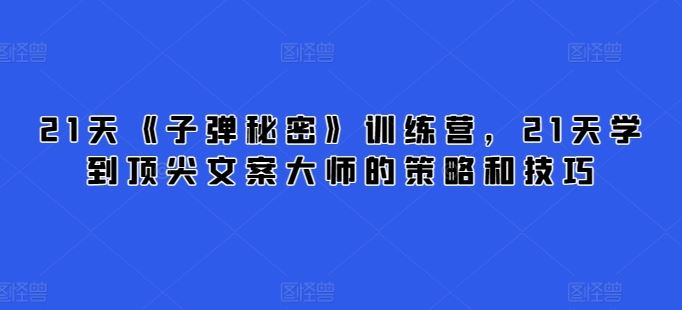 21天《子弹秘密》训练营，21天学到顶尖文案大师的策略和技巧-钞能力网全创
