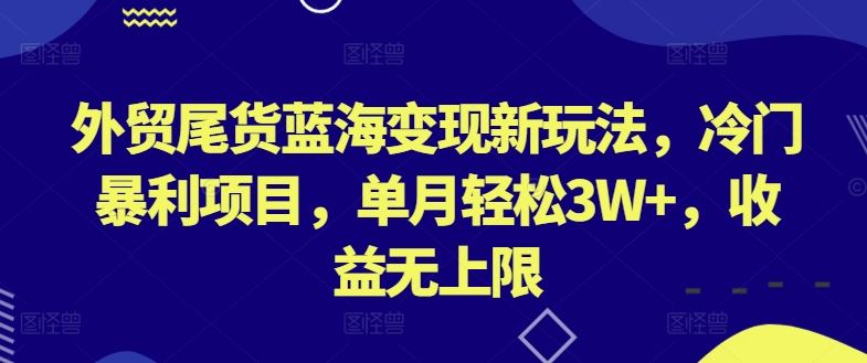 外贸尾货蓝海变现新玩法，冷门暴利项目，单月轻松3W+，收益无上限【揭秘】-钞能力网全创
