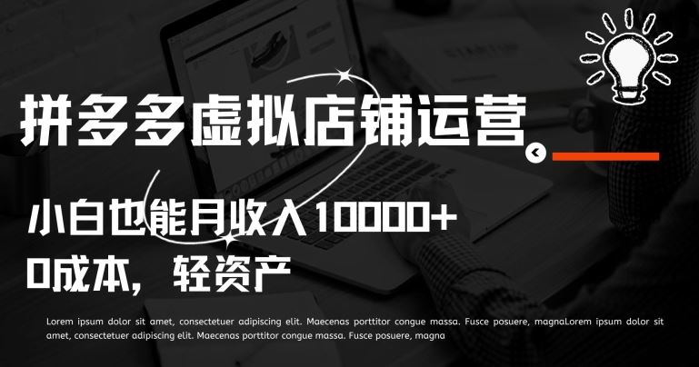 拼多多虚拟店铺运营小白也能月收入10000+【揭秘】-钞能力网全创