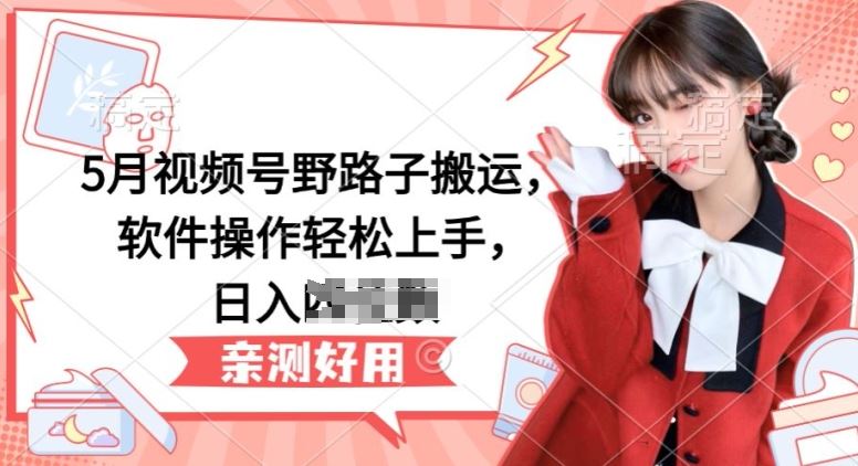 视频号野路子搬运，软件操作轻松上手，日入三位数【揭秘】-钞能力网全创