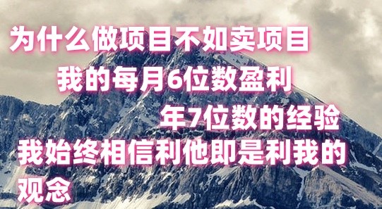 做项目不如卖项目，每月6位数盈利，年7位数经验-钞能力网全创