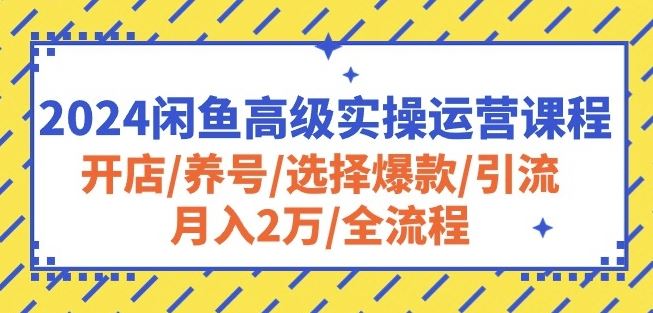 闲鱼高级实操运营课程：开店/养号/选择爆款/引流/月入2万/全流程-钞能力网全创