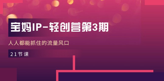 宝妈IP轻创营第3期，人人都能抓住的流量风口（21节课）-钞能力网全创