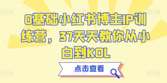 0基础小红书博主IP训练营，37天天教你从小白到KOL-钞能力网全创