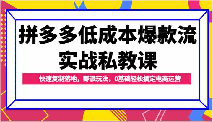 拼多多低成本爆款流实战私教课，快速复制落地，野派玩法，0基础轻松搞定电商运营-钞能力网全创