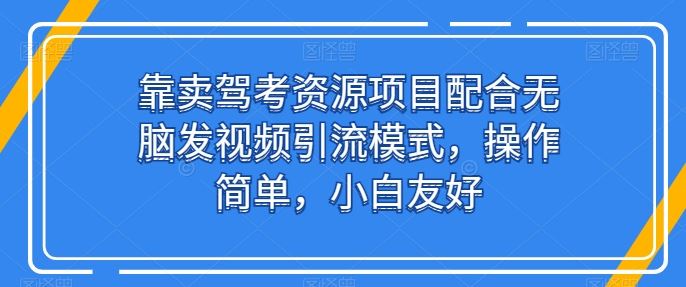 靠卖驾考资源项目配合无脑发视频引流模式，操作简单，小白友好【揭秘】-钞能力网全创
