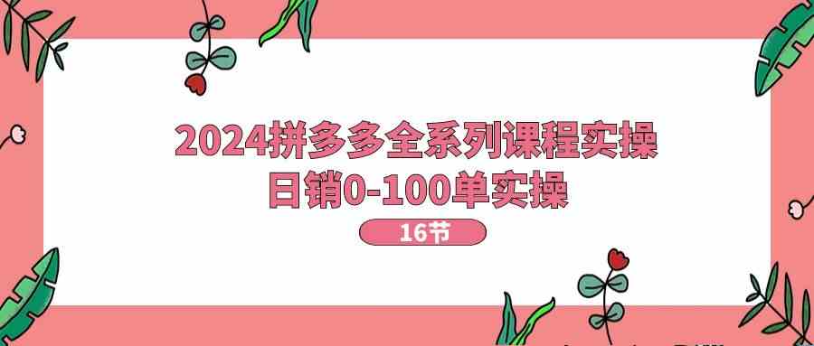 拼多多全系列课程实操，日销0-100单实操【16节课】-钞能力网全创