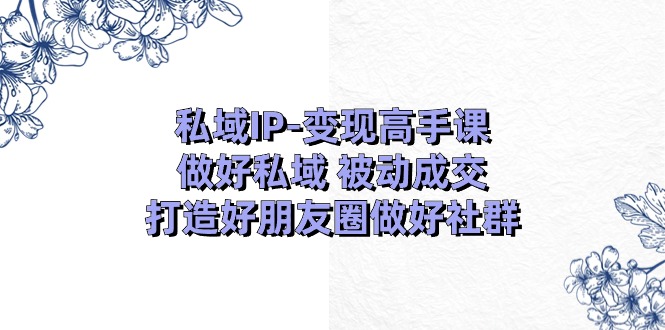 私域IP变现高手课：做好私域被动成交，打造好朋友圈做好社群（18节）-钞能力网全创