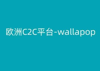 欧洲C2C平台-wallapop-kim跨境电商教程-钞能力网全创