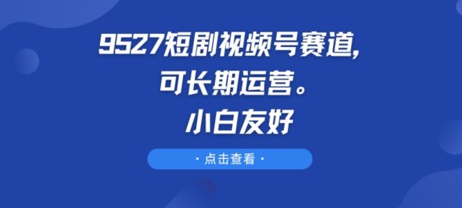 9527短剧视频号赛道，可长期运营，小白友好【揭秘】-钞能力网全创