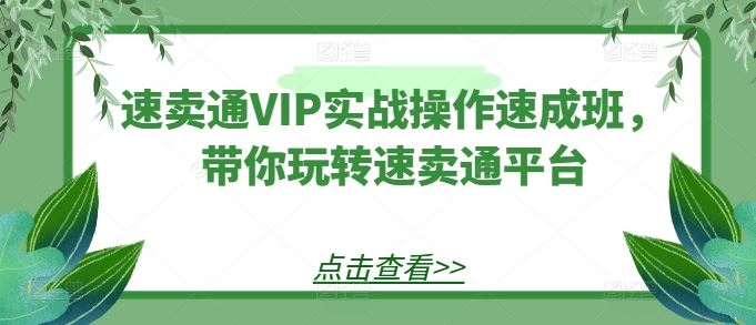 速卖通VIP实战操作速成班，带你玩转速卖通平台-钞能力网全创