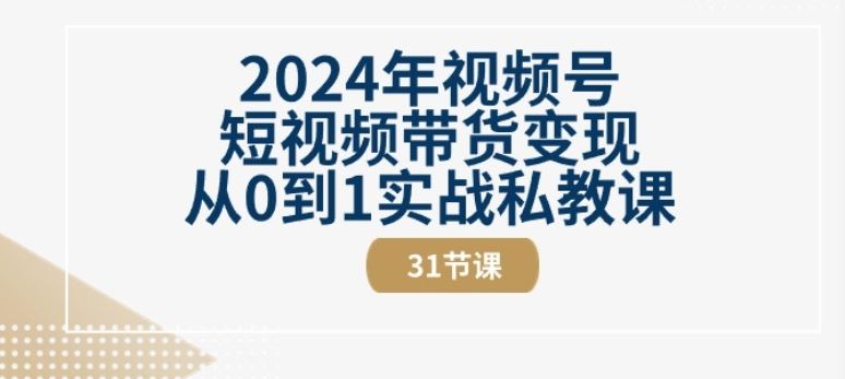视频号短视频带货变现从0到1实战私教课(31节视频课)-钞能力网全创