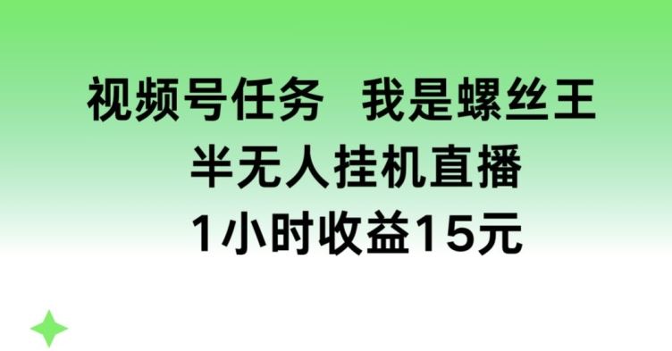 视频号任务，我是螺丝王， 半无人挂机1小时收益15元【揭秘】-钞能力网全创