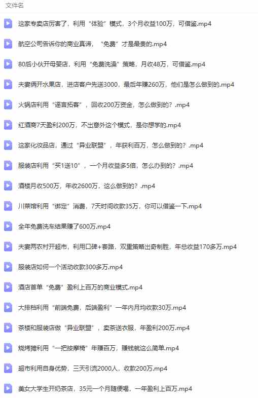 图片[8]-（9607期）真实有效391套商业模式，年入几十到几百万案例解析（电子书+视频+图文）-钞能力网全创
