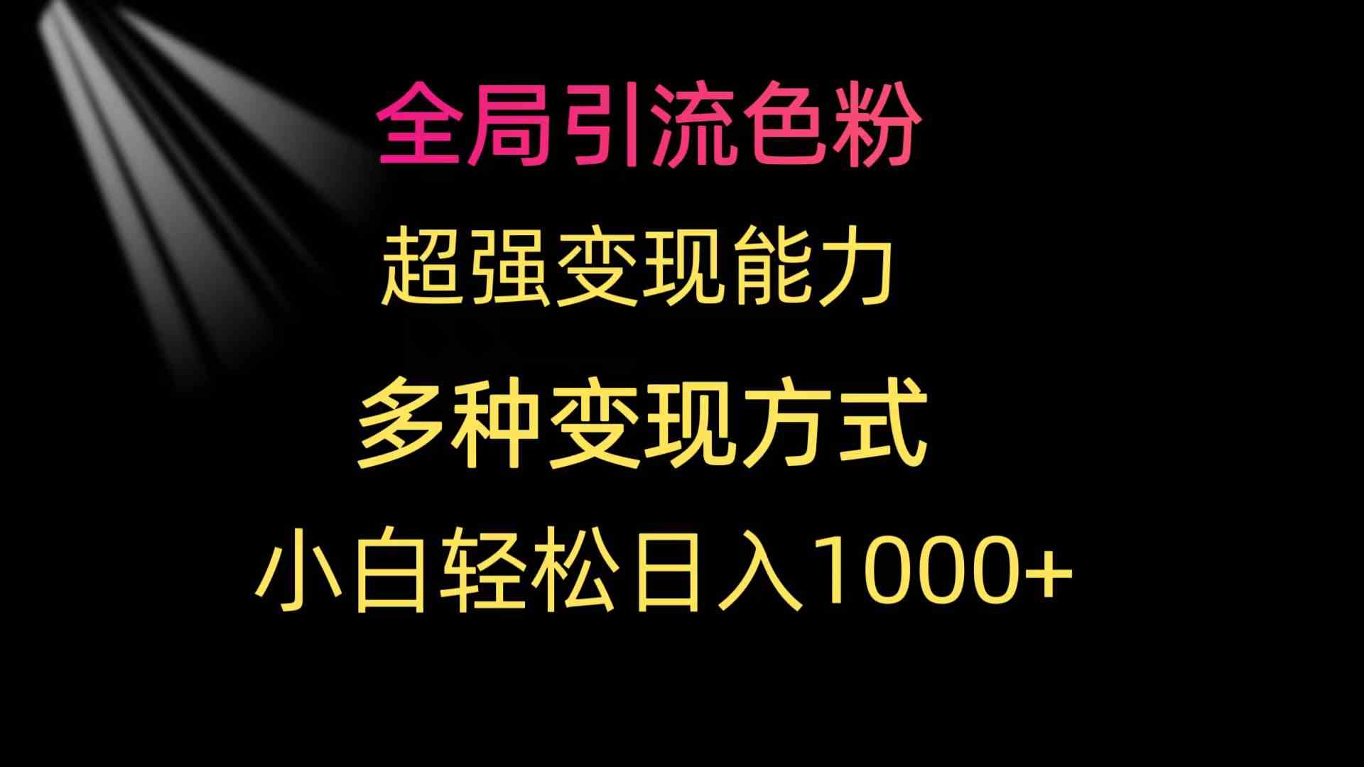 （9680期）全局引流色粉 超强变现能力 多种变现方式 小白轻松日入1000+-钞能力网全创
