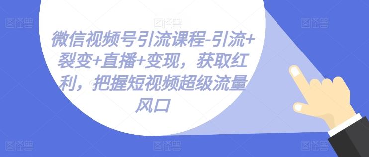 微信视频号引流课程-引流+裂变+直播+变现，获取红利，把握短视频超级流量风口-钞能力网全创