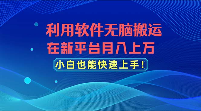 利用软件无脑搬运，在新平台月入上万，小白也能快速上手-钞能力网全创