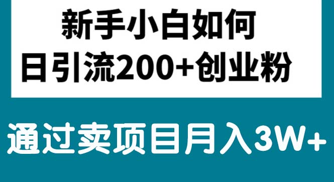 （10843期）新手小白日引流200+创业粉,通过卖项目月入3W+-钞能力网全创