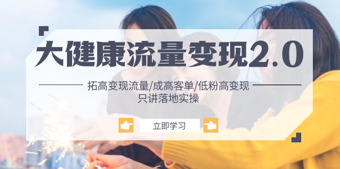 （10871期）大健康 流量 变现2.0：拓高变现 流量/成高客单/低粉高变现/只讲落地实战-钞能力网全创